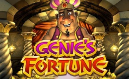 Genie's Fortune