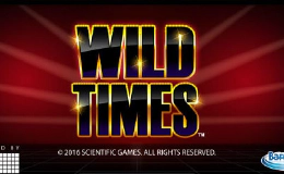 Wild Times