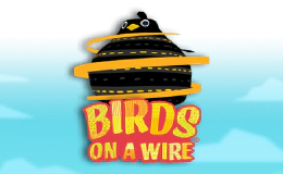 Birds on a Wire