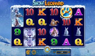 Snow Leopard